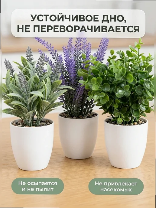The One Rose Приветствие нового сотрудника, Осока, лаванда, эвкалипт —, зеленый, фото 8