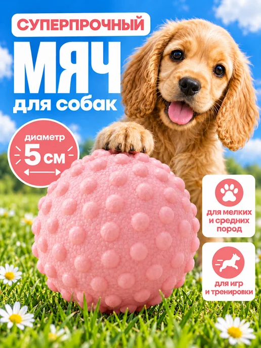ИНТОНАЦИЯ Жевательная игрушка для собак, супер прочный мяч, вариант