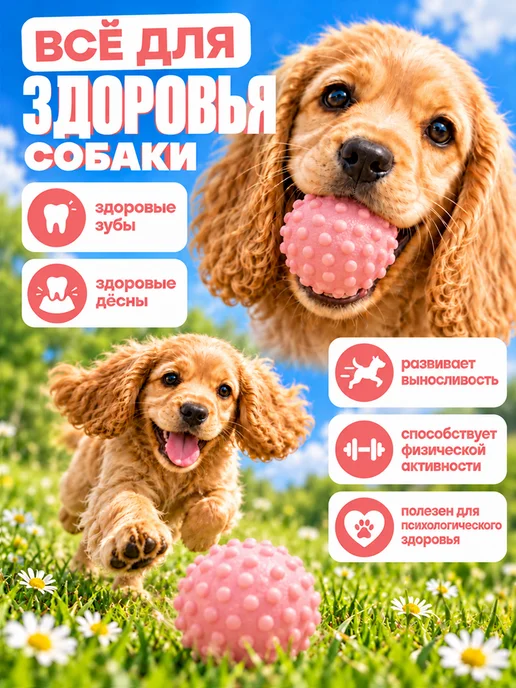 ИНТОНАЦИЯ Жевательная игрушка для собак, супер прочный мяч, вариант, фото 5