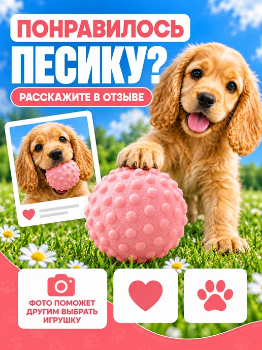 ИНТОНАЦИЯ Жевательная игрушка для собак, супер прочный мяч, вариант, фото 8