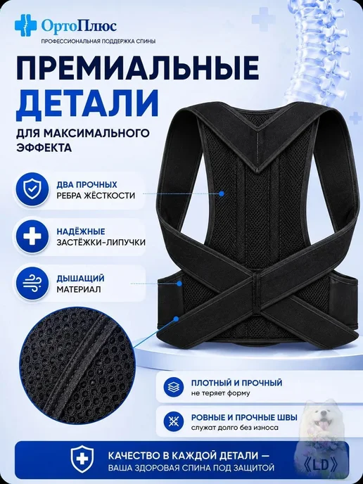 Ортопедический корректор осанки грудопоясничный, размер L, вариант, фото 2