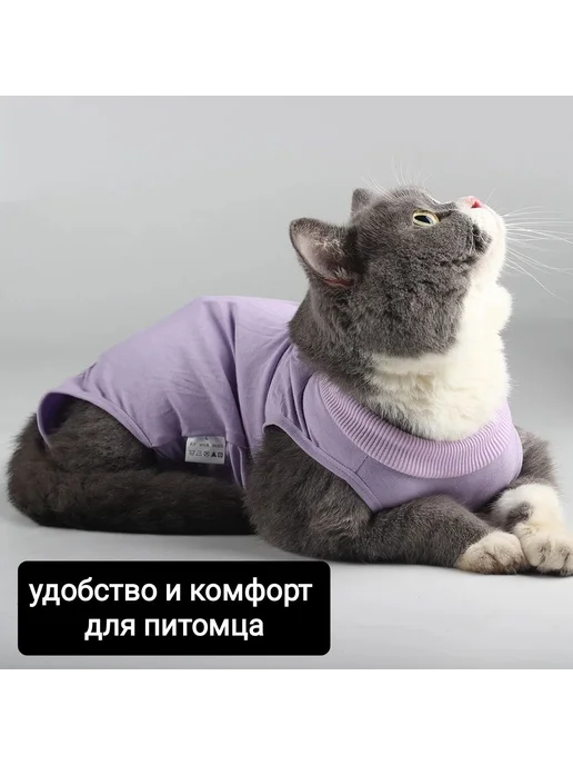 Попона для кошек, послеоперационная, размер L, фиолетовый, фото 4