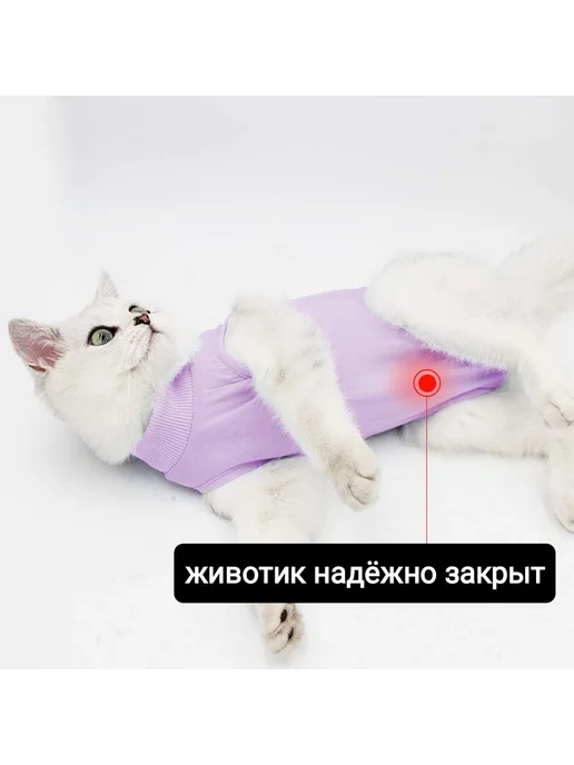 Попона для кошек, послеоперационная, размер L, фиолетовый, фото 7