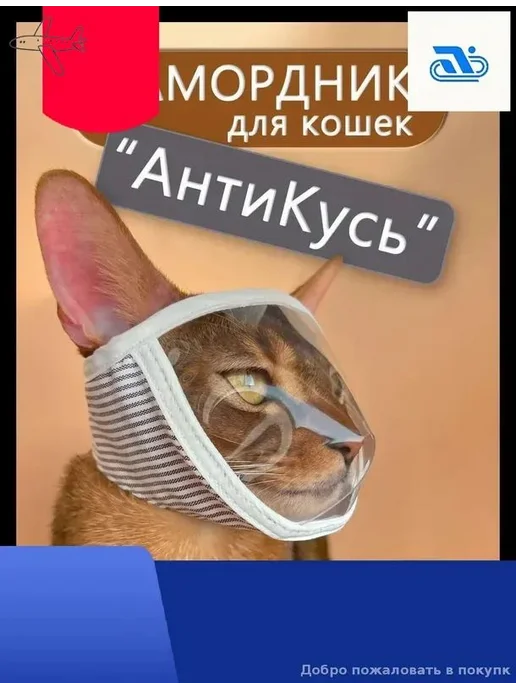 Ветеринарный намордник для кошек, белый, размер S, белый