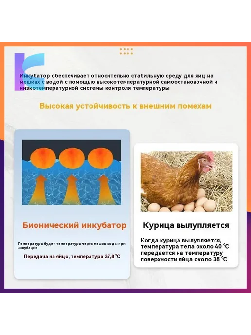 Инкубатор для куриных яиц, 10 шт, питание от сети, 10 шт, фото 8