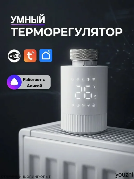 Умный терморегулятор для радиатора WiFi, вариант