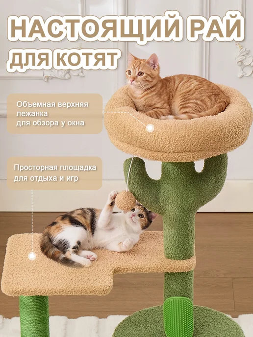 onleap Игровые комплексы для кошек домик с когтеточкой, зеленый, фото 3