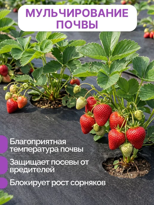 Геотекстиль 60 3,2 3 черный,ЭКОТЕКСтиль, черный, фото 2